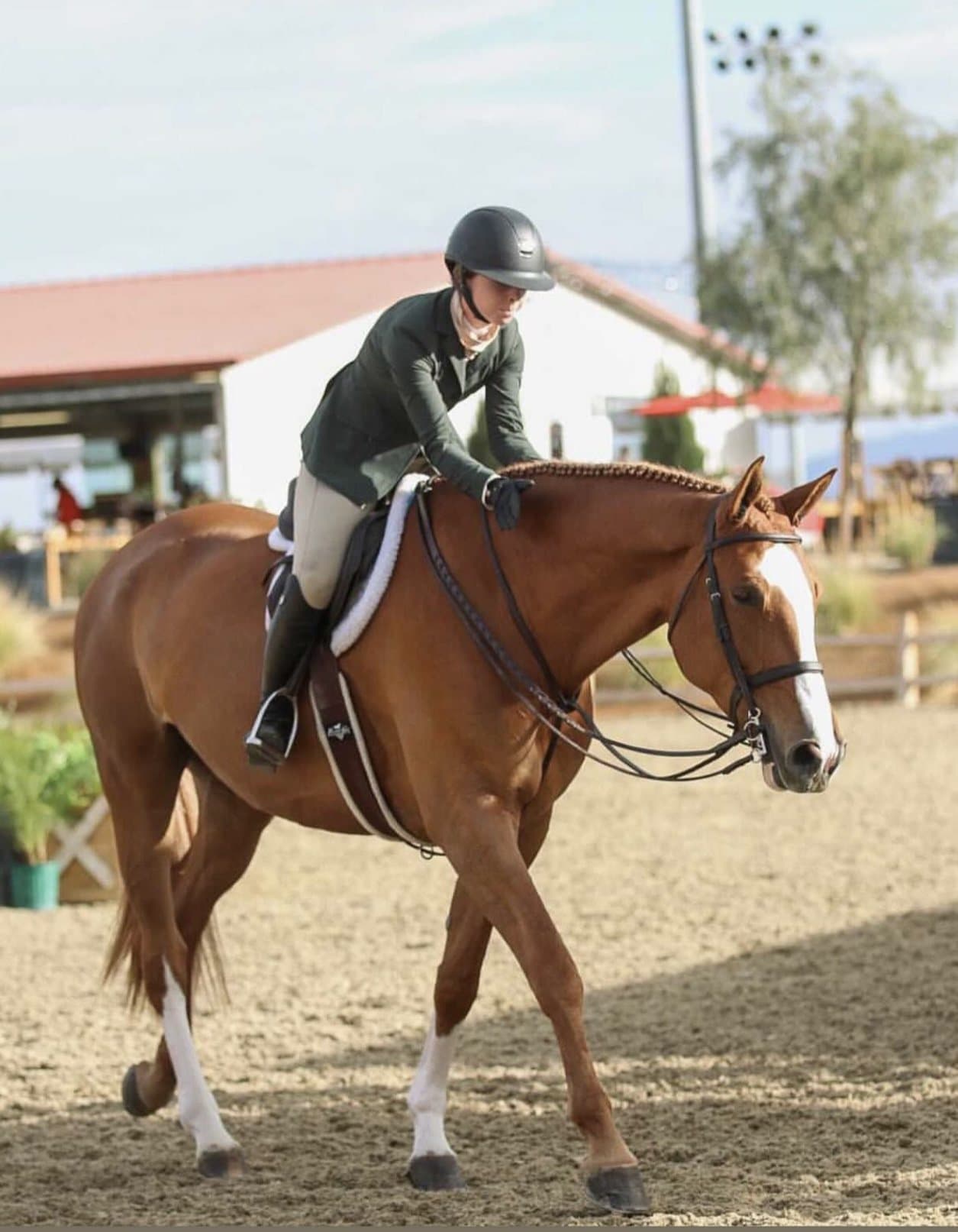 A rider on a turned-out chestnut horse with white socks, walking on the show grounds