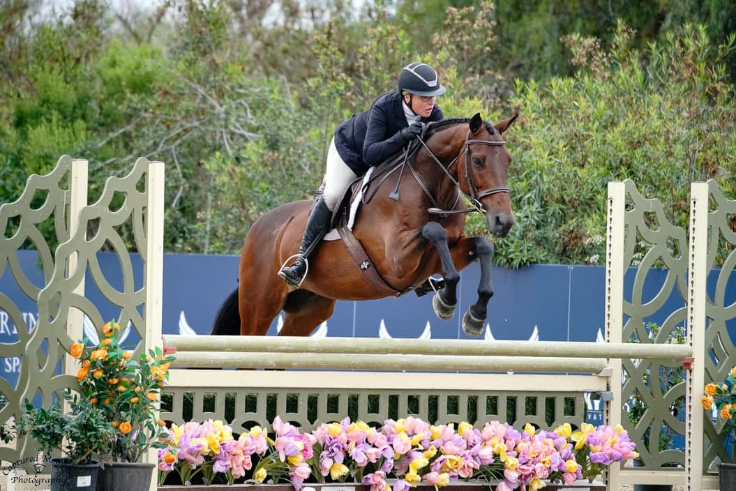 A horse and rider clearing a flower-lined hunter fence