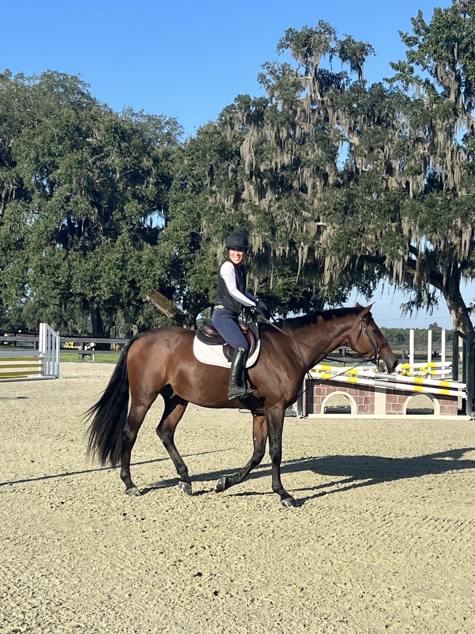 A rider walking a bay horse beneath moss-draped oak trees