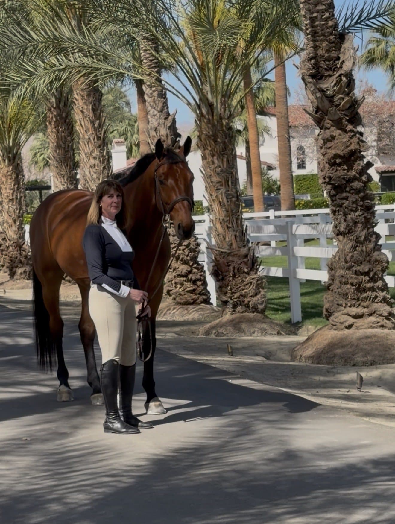 A rider in show clothes standing quietly with a bay horse beneath palm trees