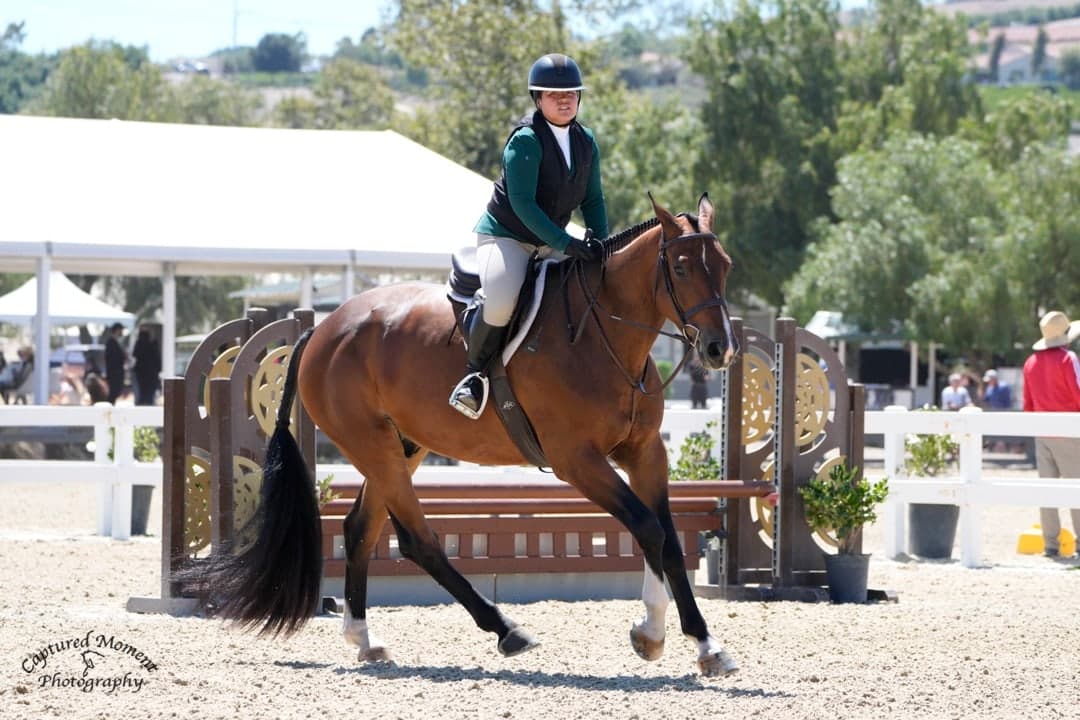 A rider in a green coat on a chestnut horse in a show arena