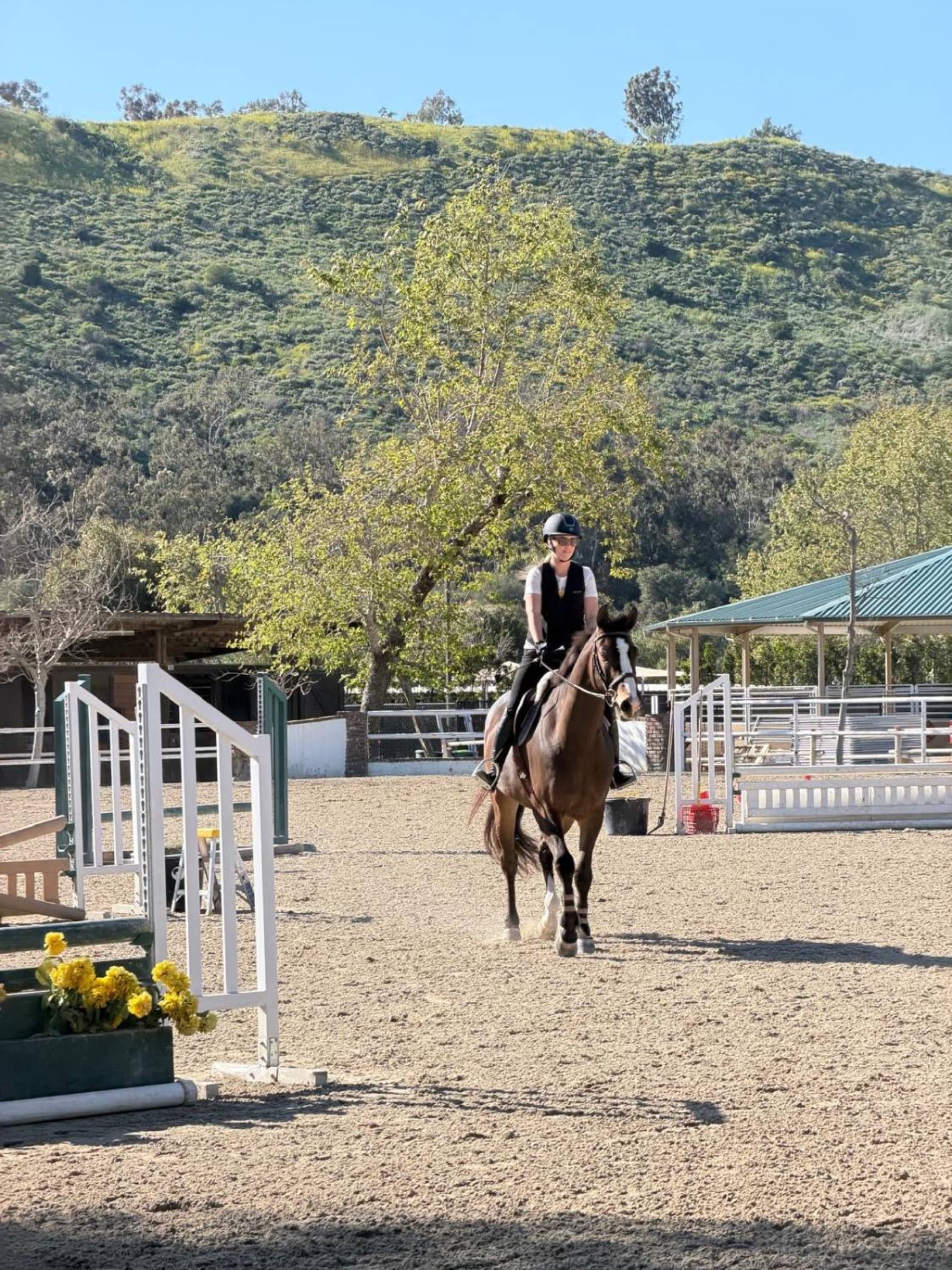 Cassanova ZG Z, a bay with a white blaze, being ridden toward the camera in a sand arena below green hills