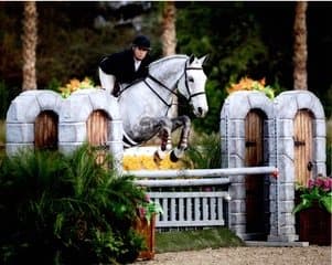 Cato jumping between stone-arch wings framed by palm trees