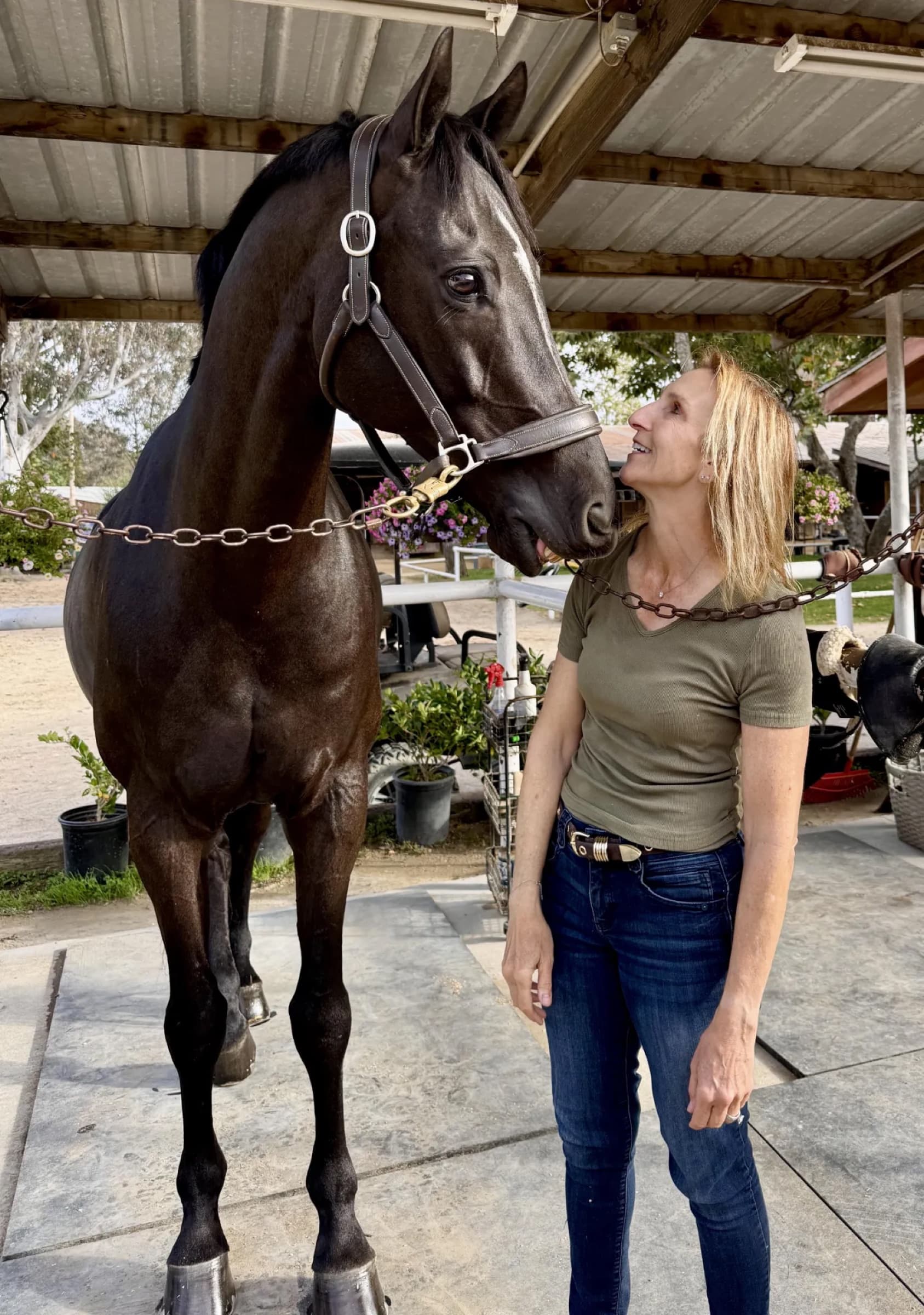Fiesta, a dark bay horse with a white stripe, nose to nose with a rider on the cross-ties
