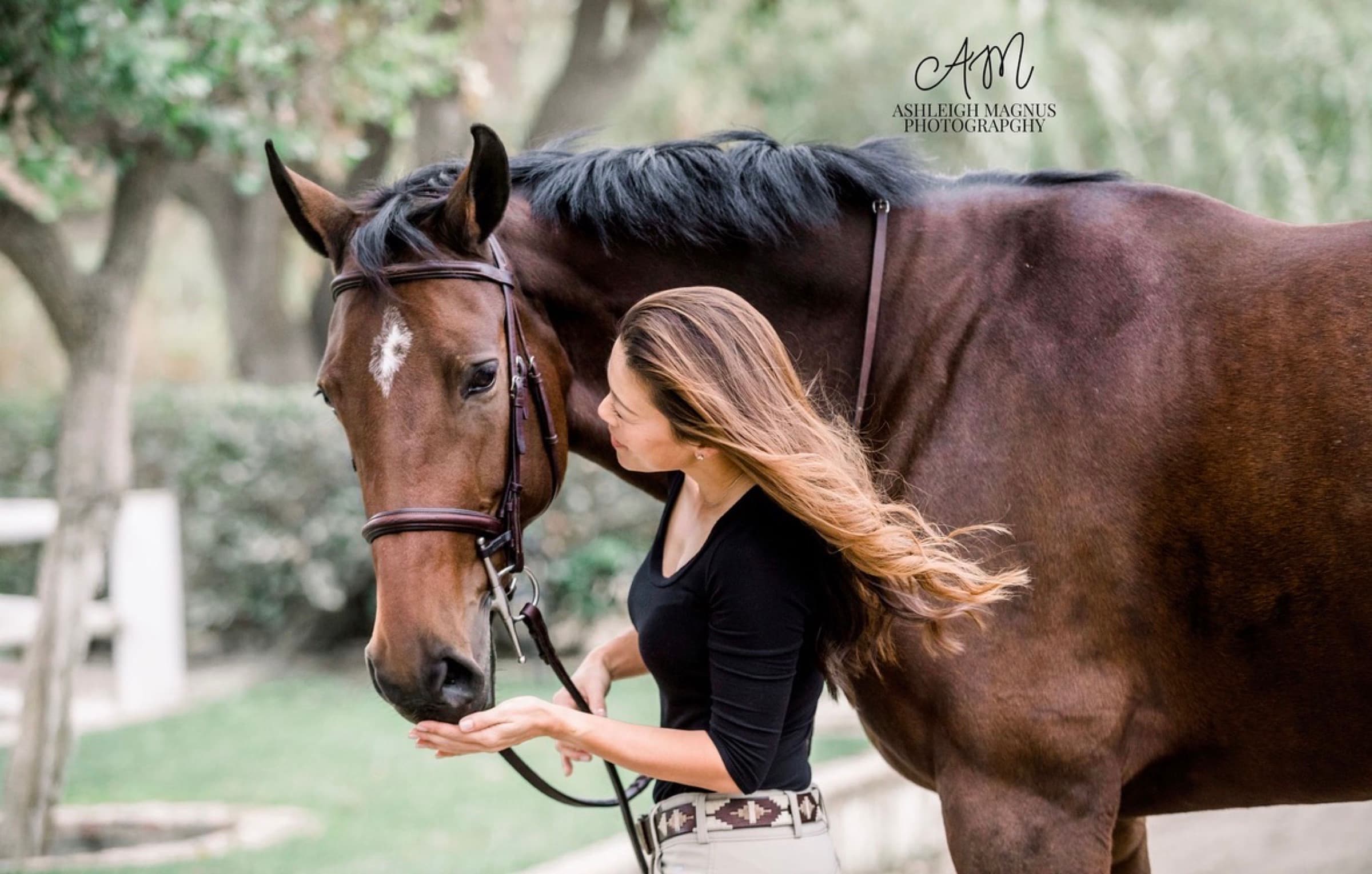 Phee, a bay horse with a white star, being fed a treat beneath the trees